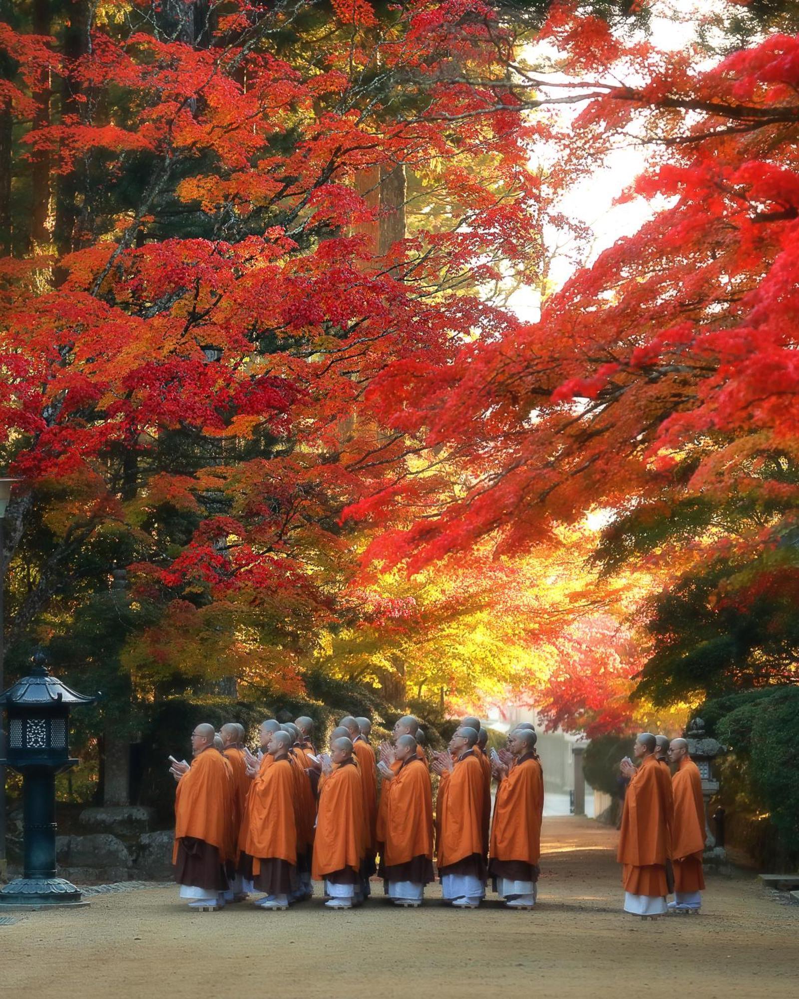 Koyasan Guesthouse Kokuu ภายนอก รูปภาพ