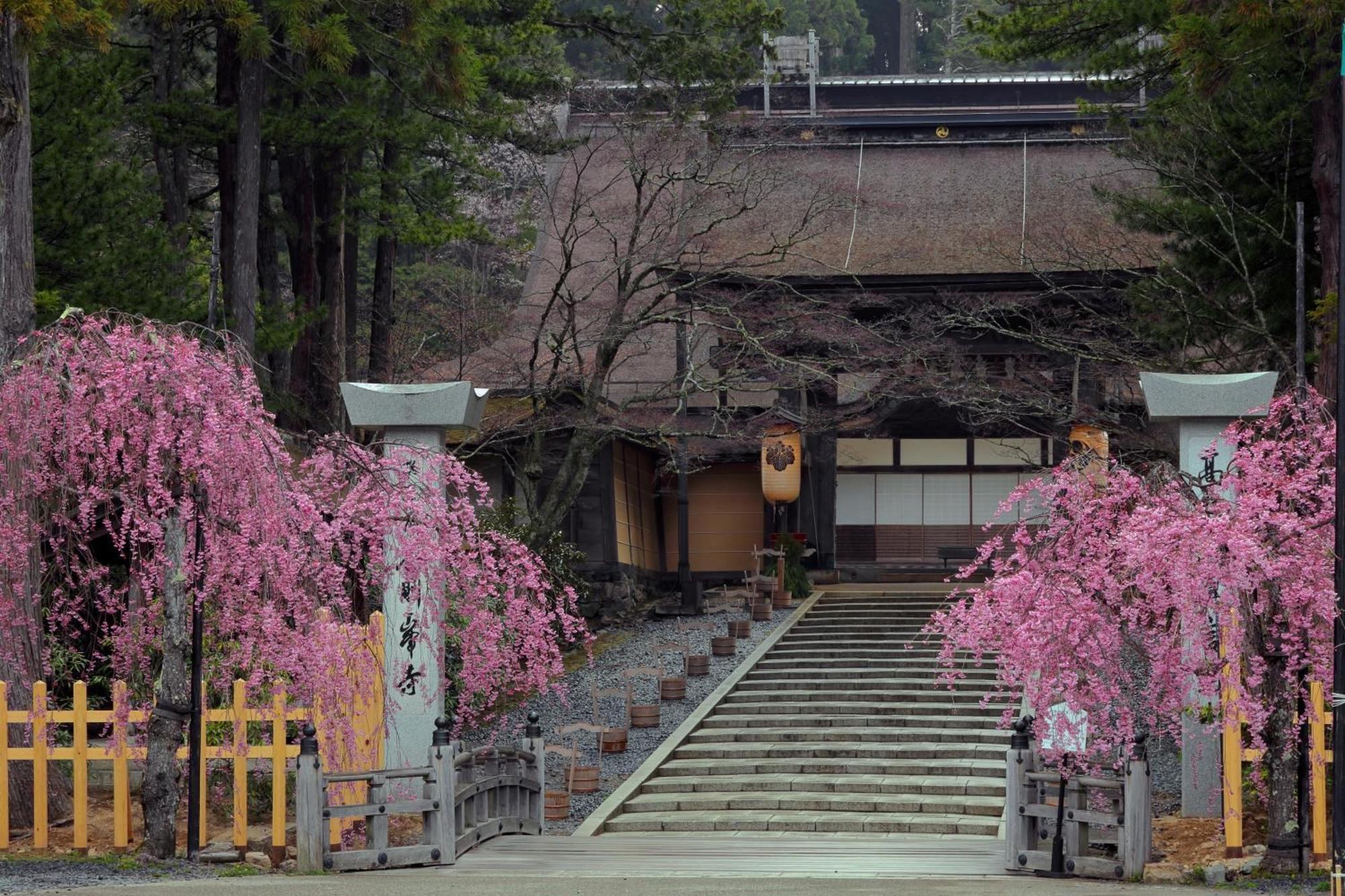 Koyasan Guesthouse Kokuu ภายนอก รูปภาพ